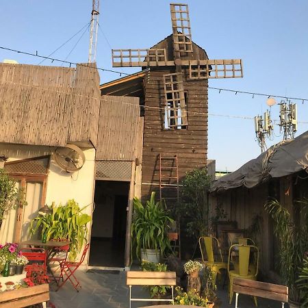 The Lazy Patio Homestay New Delhi Exteriör bild