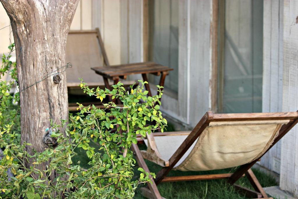 The Lazy Patio Homestay New Delhi Exteriör bild