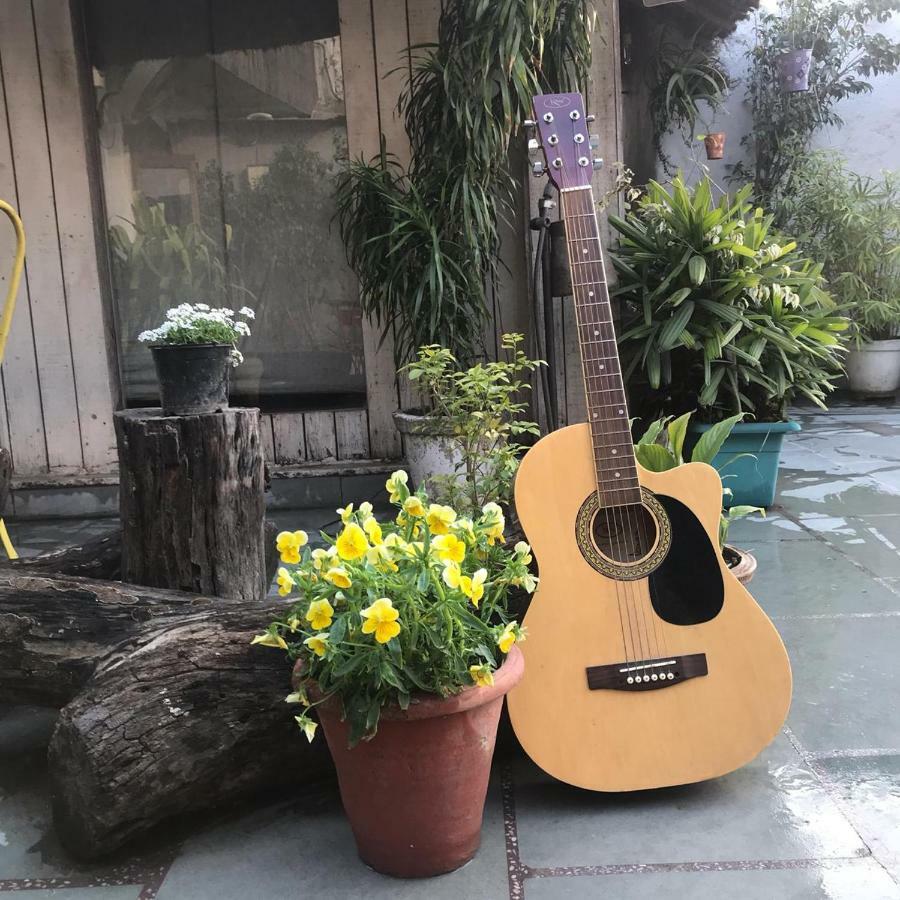 The Lazy Patio Homestay New Delhi Exteriör bild