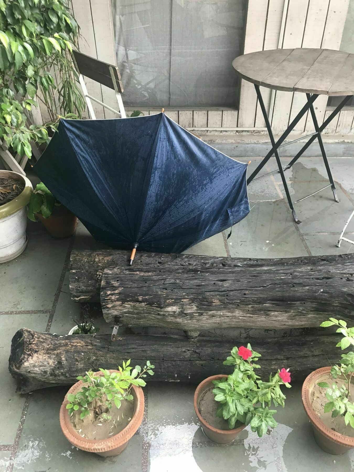 The Lazy Patio Homestay New Delhi Exteriör bild