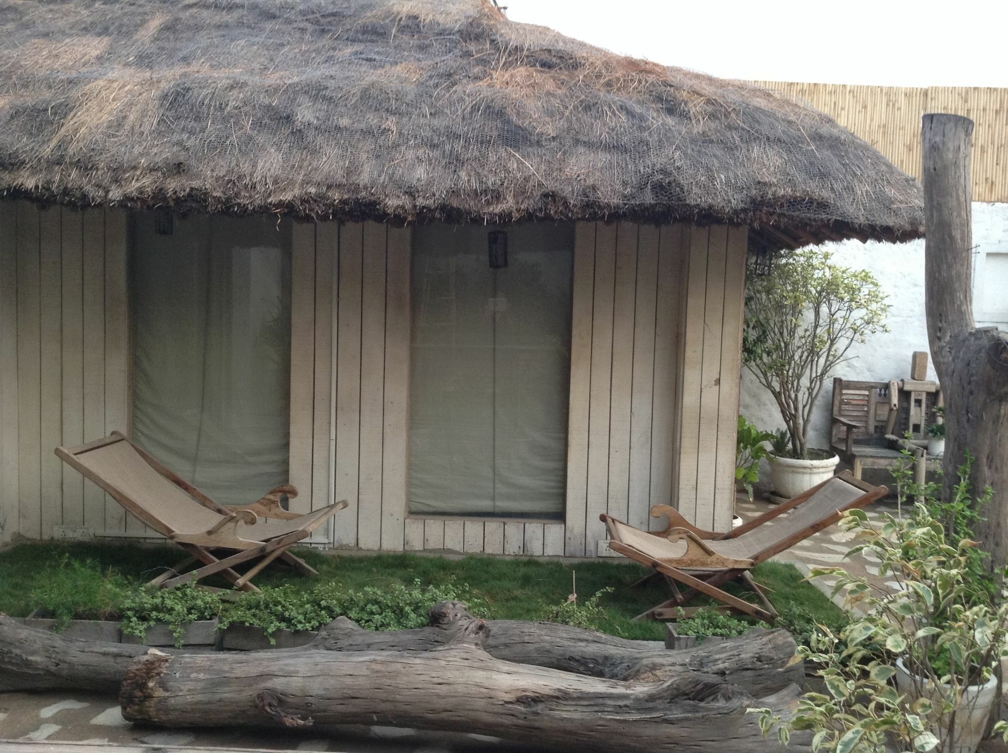 The Lazy Patio Homestay New Delhi Exteriör bild